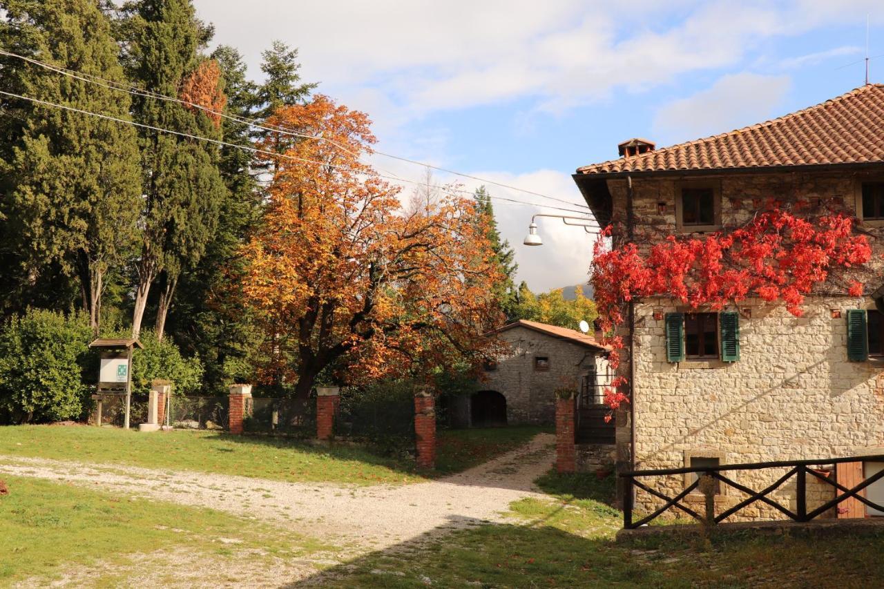 Agriturismo Villaggio Eden Pieve Santo Stefano Exteriör bild