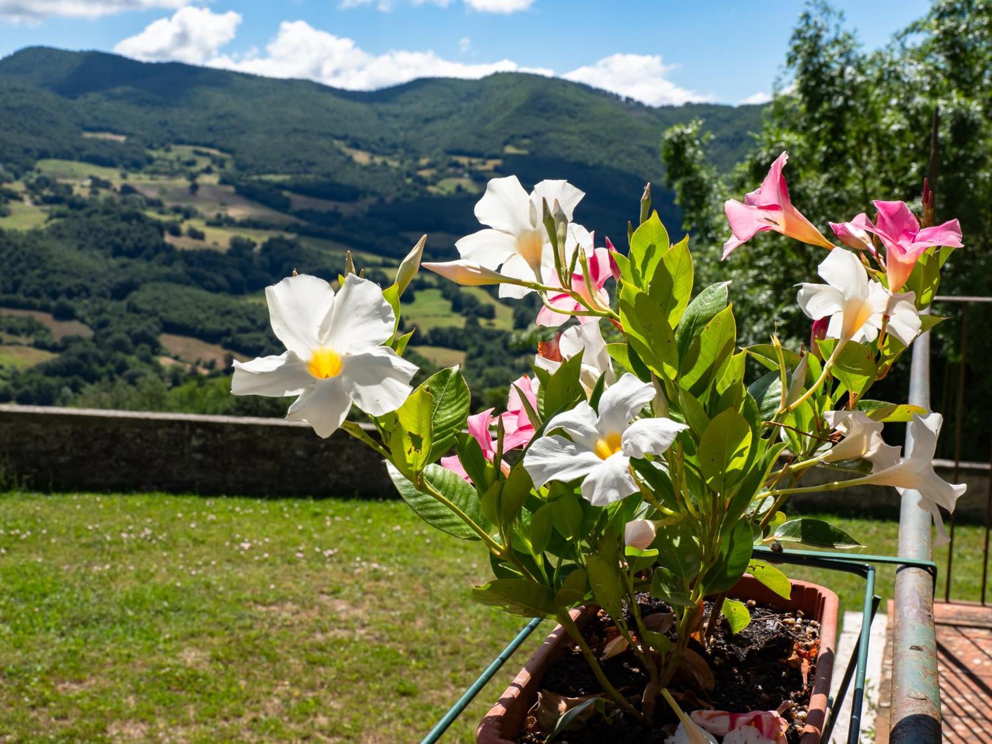 Agriturismo Villaggio Eden Pieve Santo Stefano Exteriör bild